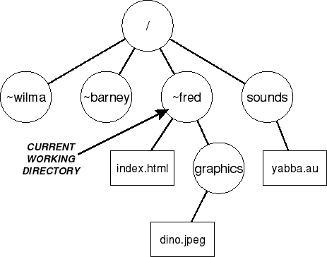 server filesystem diagram
